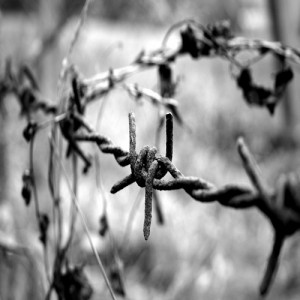 barbed wire