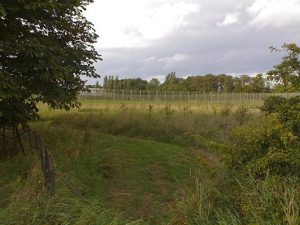 Kirklivingstone prison