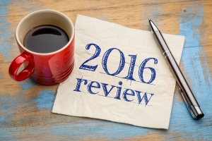 2016 review on napkin